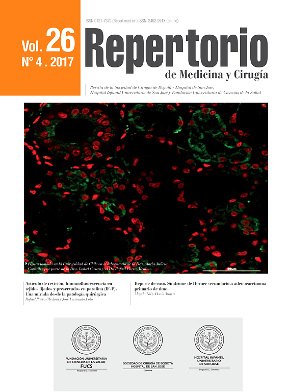 Go to journal home page - Repertorio de Medicina y Cirugía